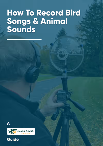Cover page of Sound Shark's How To Record Bird Songs And Sound Guide