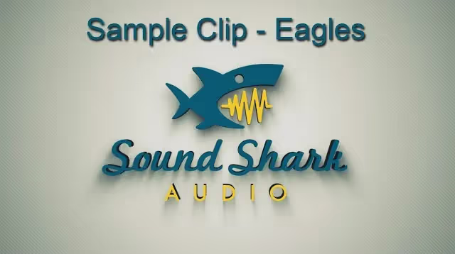 Thumbnail image for "Sound Shark Sample Clips - Eagles" video